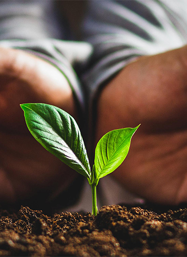 Unlocking circular value 