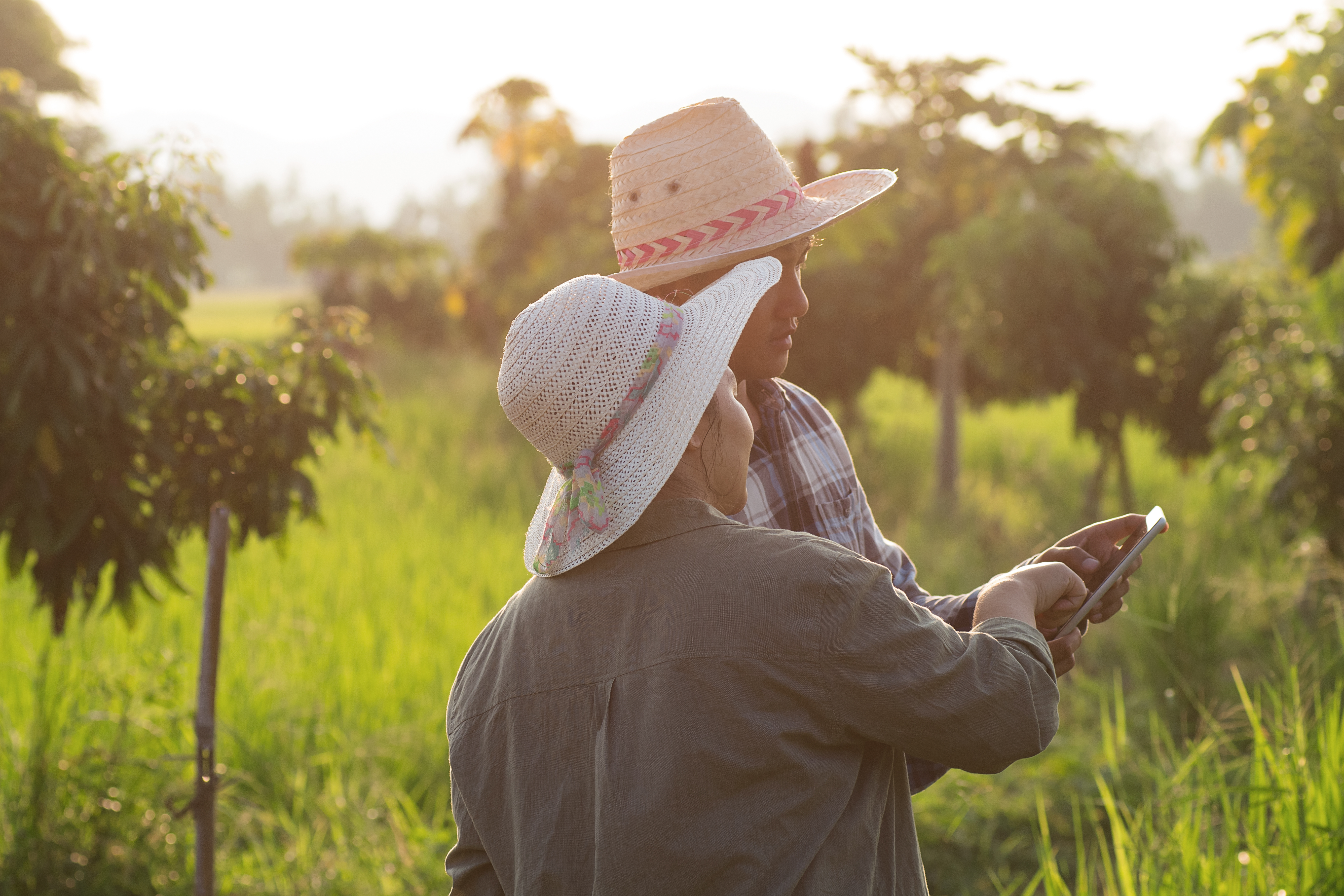 Decarbonise at scale