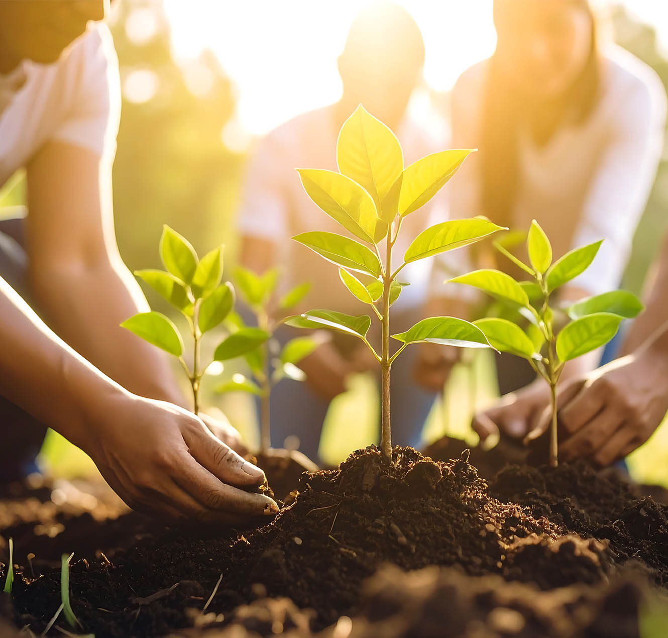 Strategize for a seamless