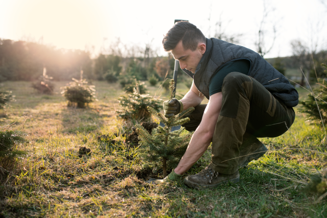 Young man plant a small tree in the garden