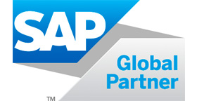 SAP global partner