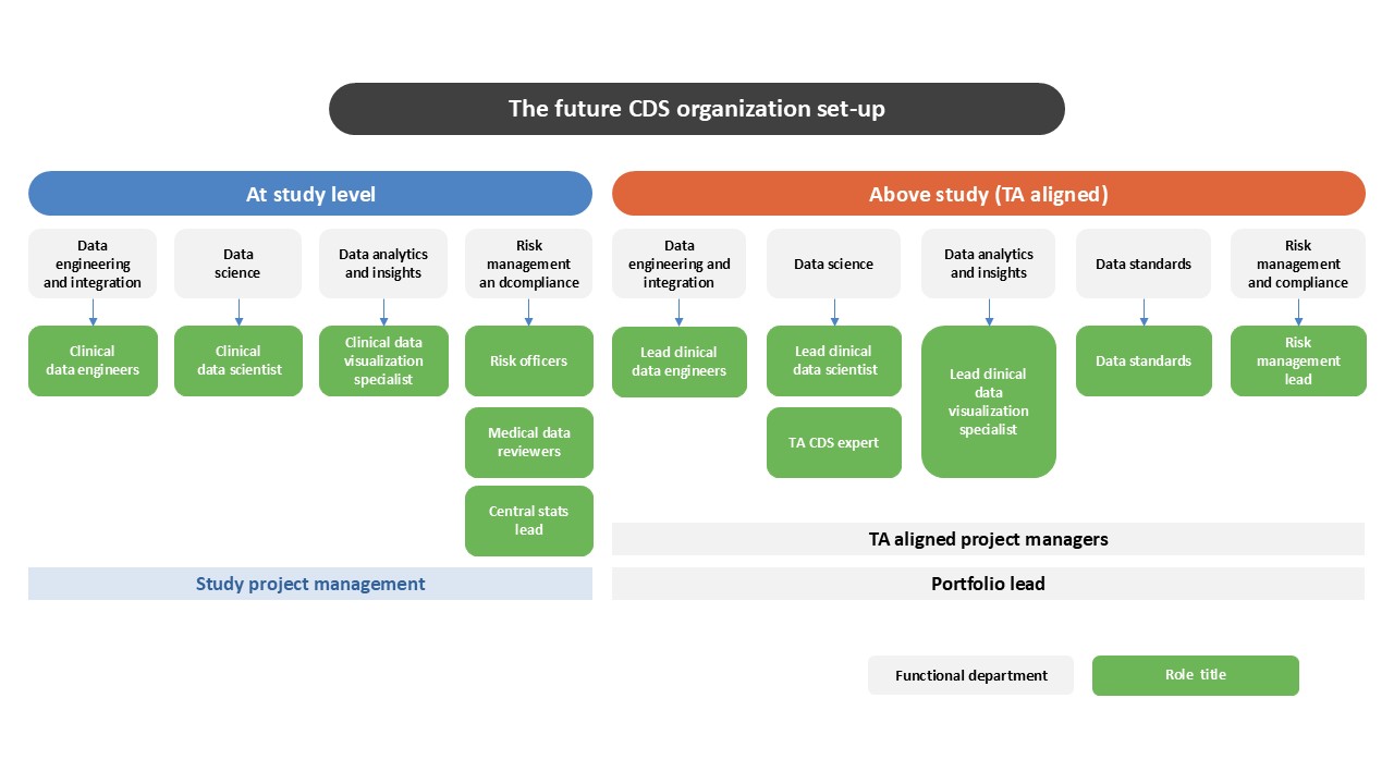 A graphic showing the shape of a future CDS organisation with study-level cross-functional roles and above-study-level leadership.