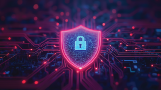 Pioneering Data Privacy Research