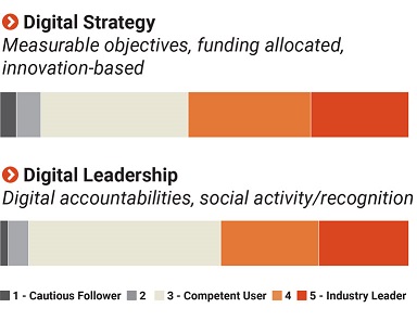 infographics