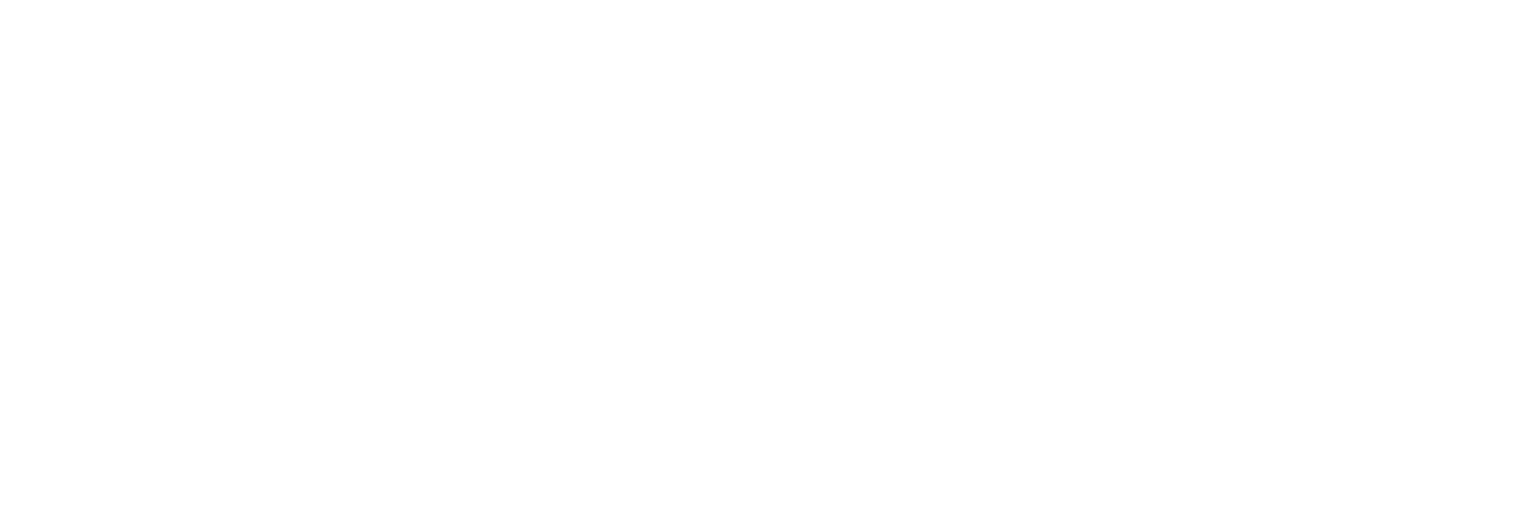TCS Summit Japan
